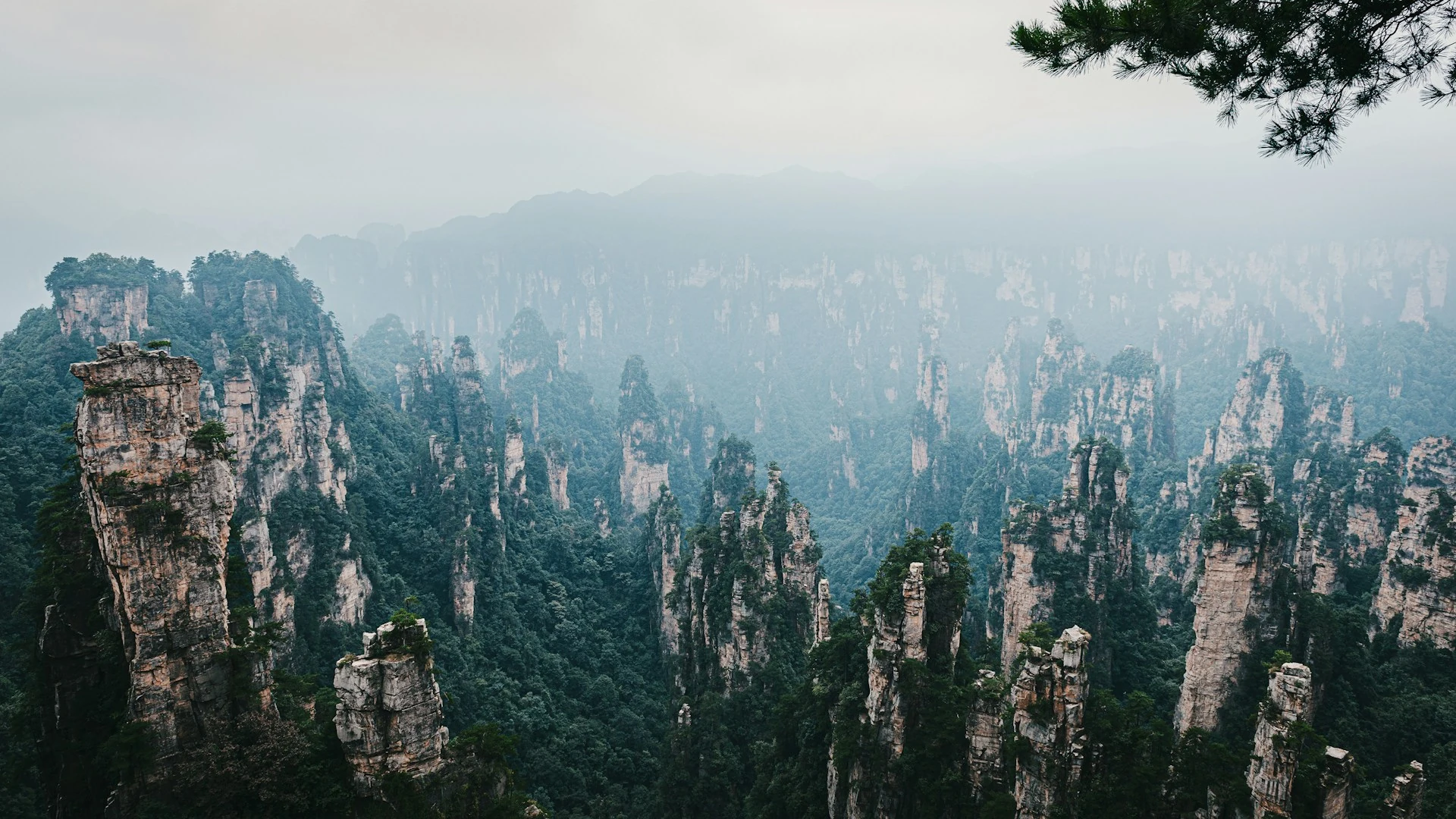 this is zhangjiajie